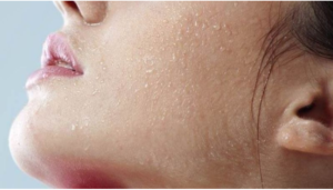 screenshot 1722947353